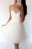 Abito Homecoming A-Line Naturale in Tulle Principessa Senza Maniche - 1