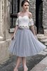 Robe fête de la rentrée de col en cœur en tulle de princesse glamour naturel - 1