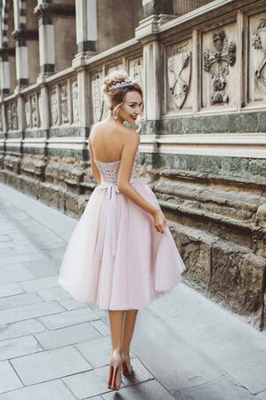 Robe fête de la rentrée delicat manche nulle de longueur à genou en tulle avec lacets - Photo 2